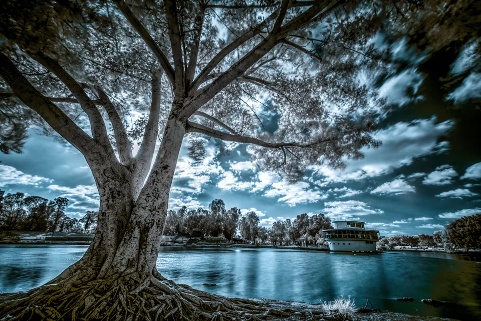 Infrared — photograph by Asaf Amran