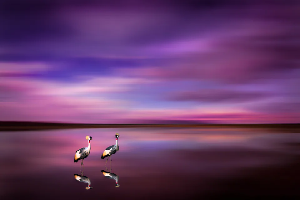 Creative edit — photograph by Asaf Amran