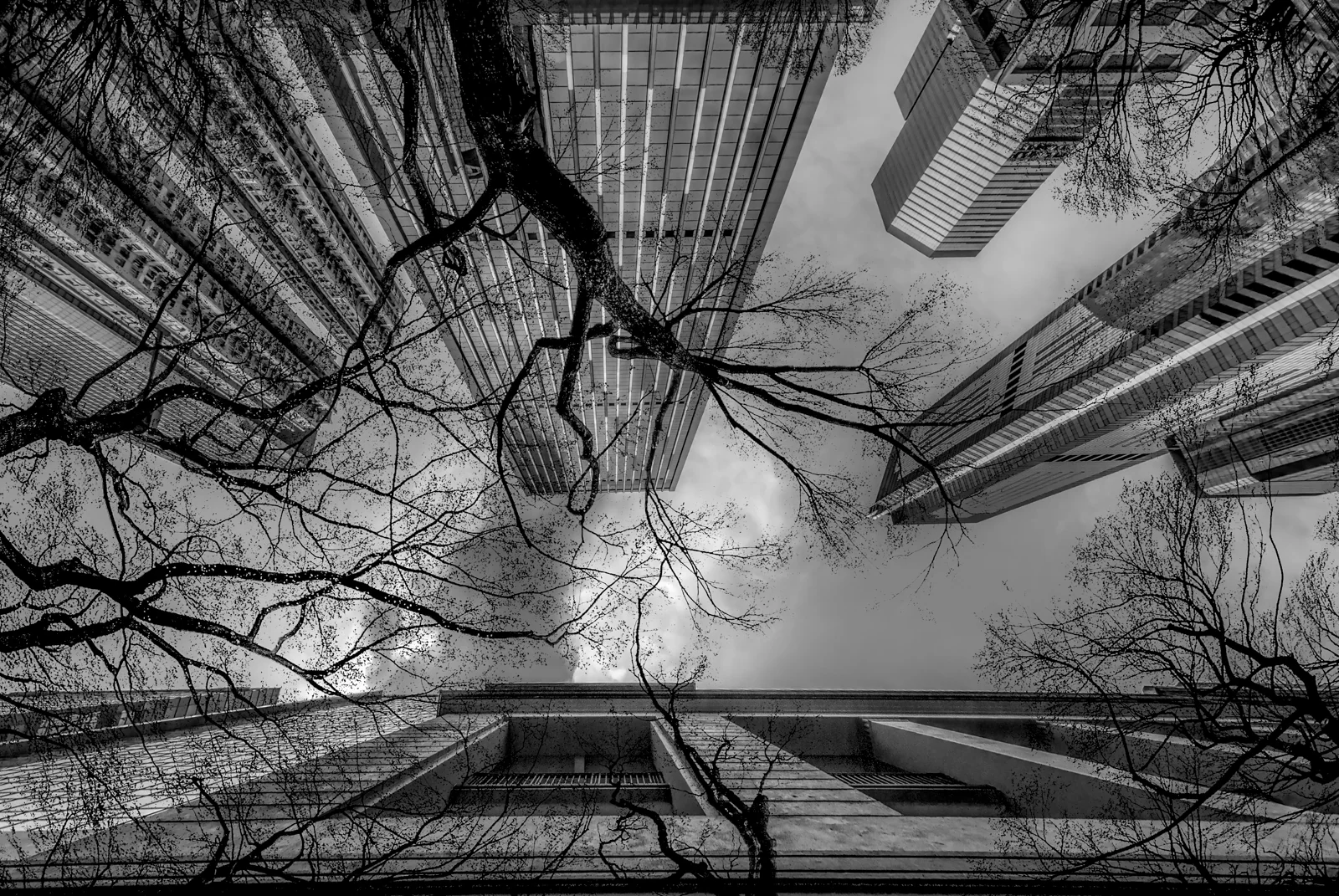 Home — photograph by Asaf Amran
