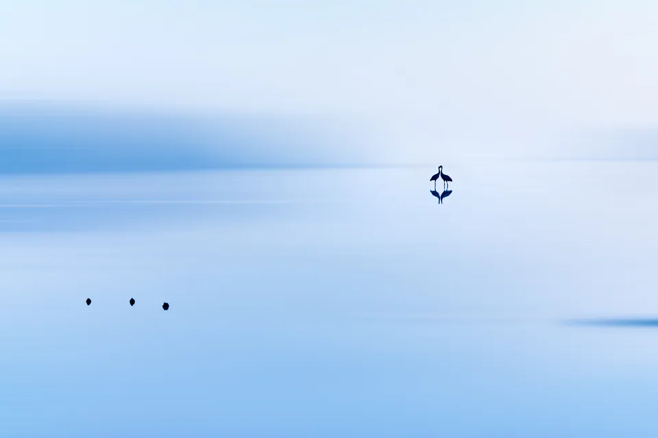 Creative edit — photograph by Asaf Amran