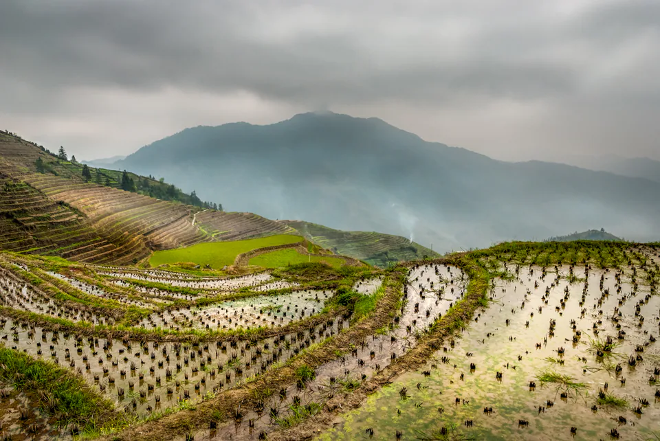 Landscape — photograph by Asaf Amran