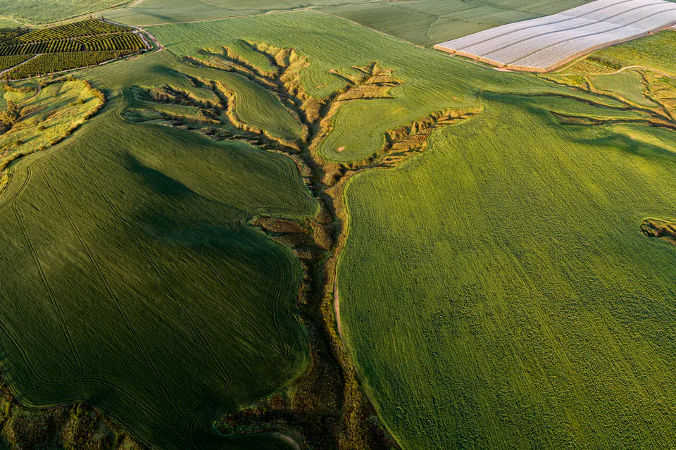 Landscape — photograph by Asaf Amran