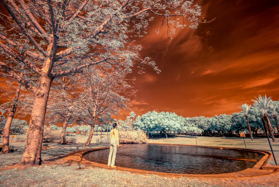 Infrared — photograph by Asaf Amran