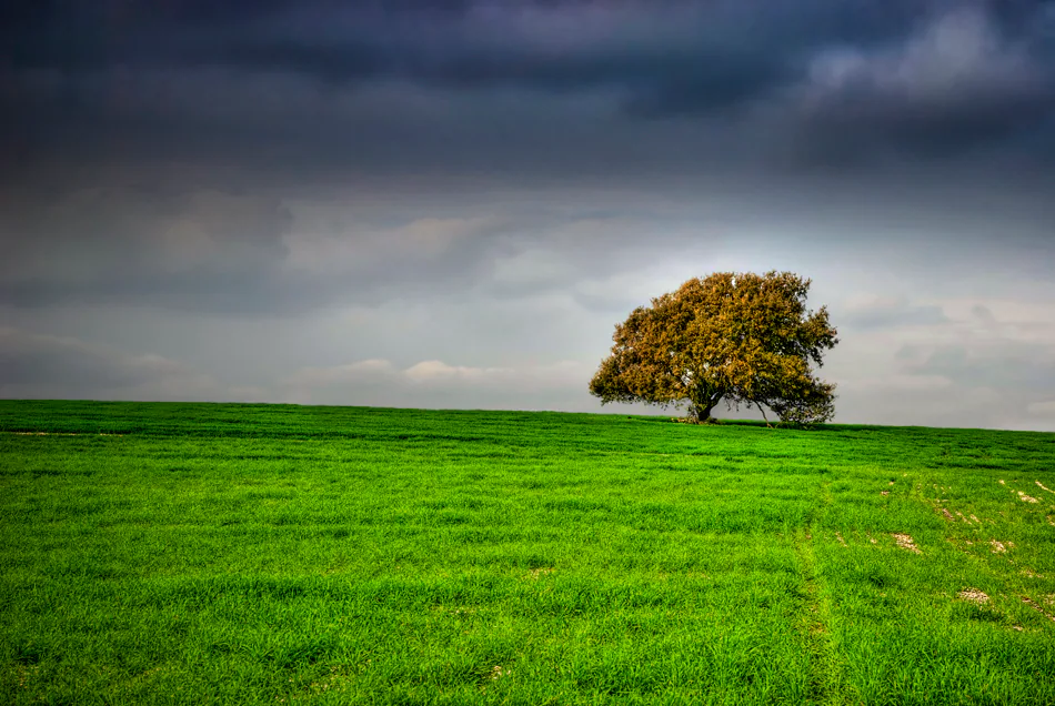 Landscape — photograph by Asaf Amran