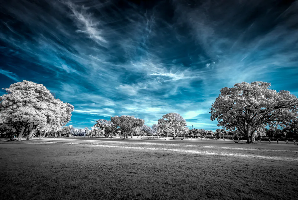 Infrared — photograph by Asaf Amran