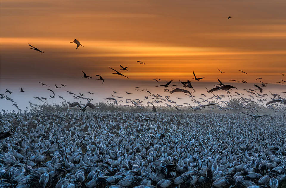 Landscape — photograph by Asaf Amran