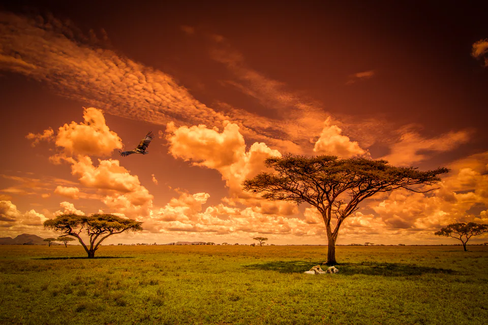 Landscape — photograph by Asaf Amran