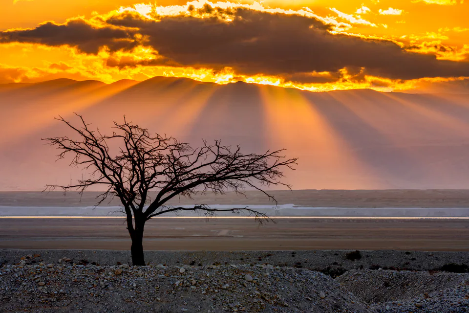 Landscape — photograph by Asaf Amran