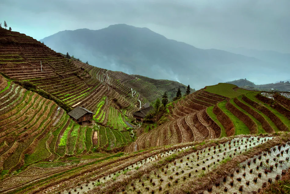 Landscape — photograph by Asaf Amran