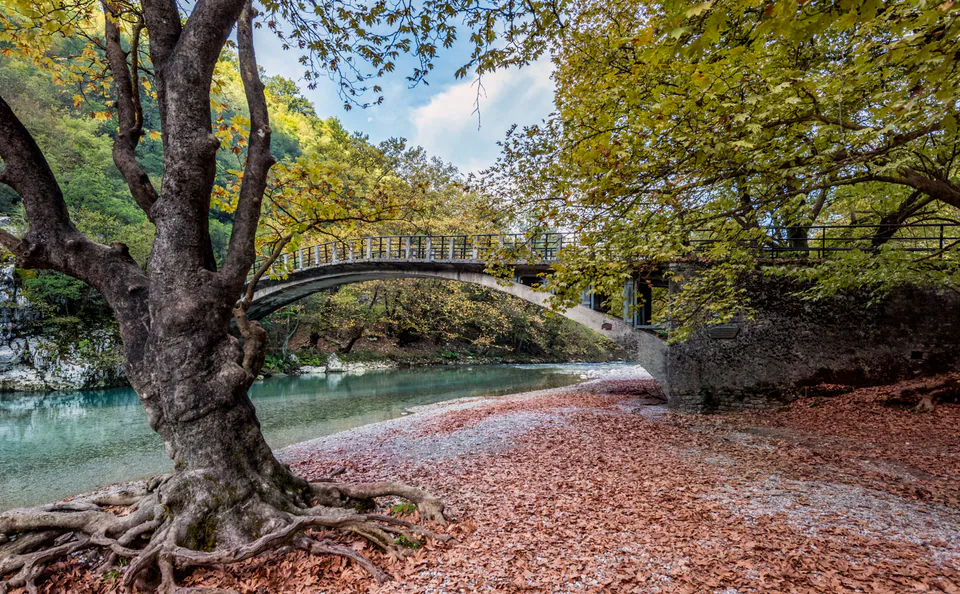 Landscape — photograph by Asaf Amran