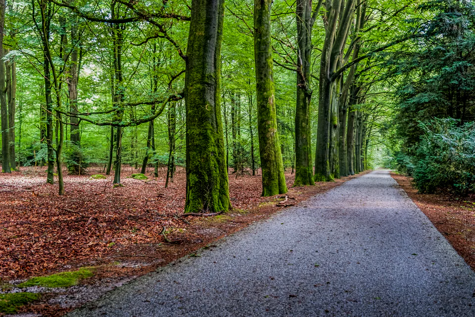 Landscape — photograph by Asaf Amran