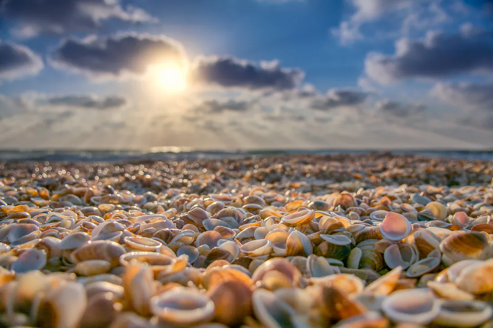 Landscape — photograph by Asaf Amran