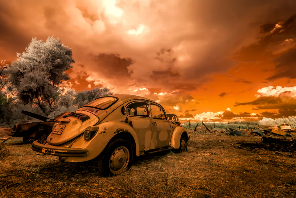 Infrared — photograph by Asaf Amran