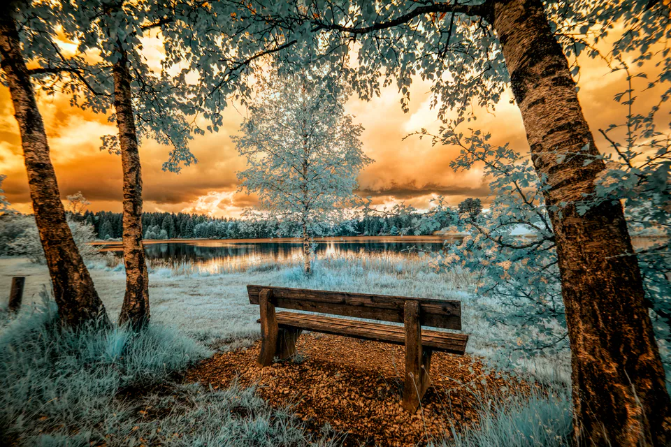 Infrared — photograph by Asaf Amran