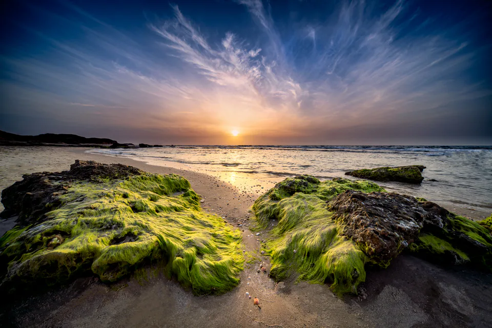 Landscape — photograph by Asaf Amran