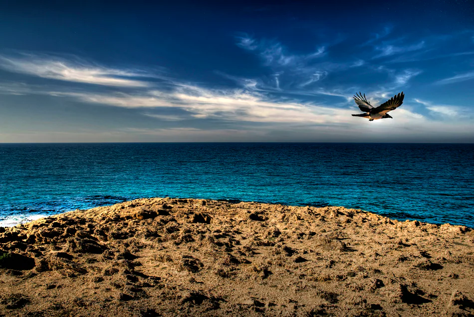 Landscape — photograph by Asaf Amran