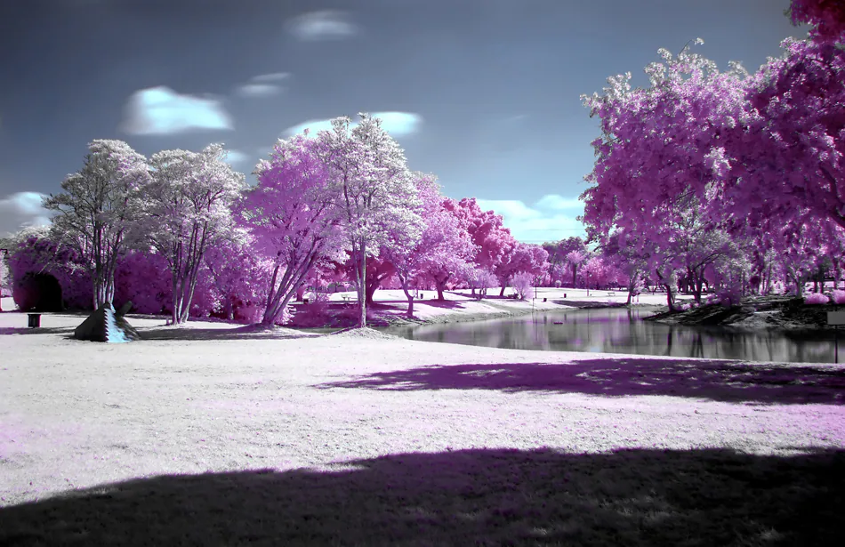 Infrared — photograph by Asaf Amran