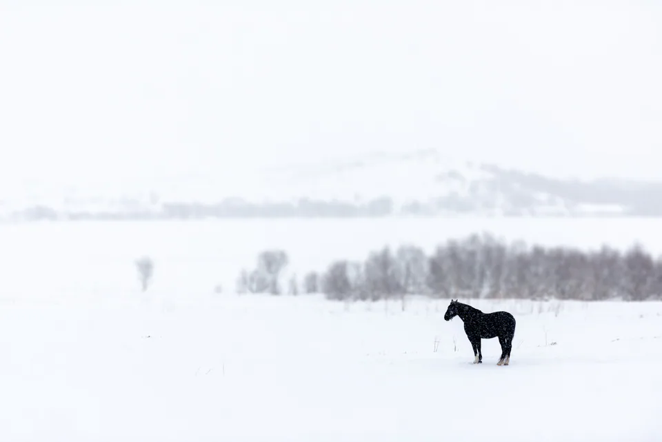 Landscape — photograph by Asaf Amran