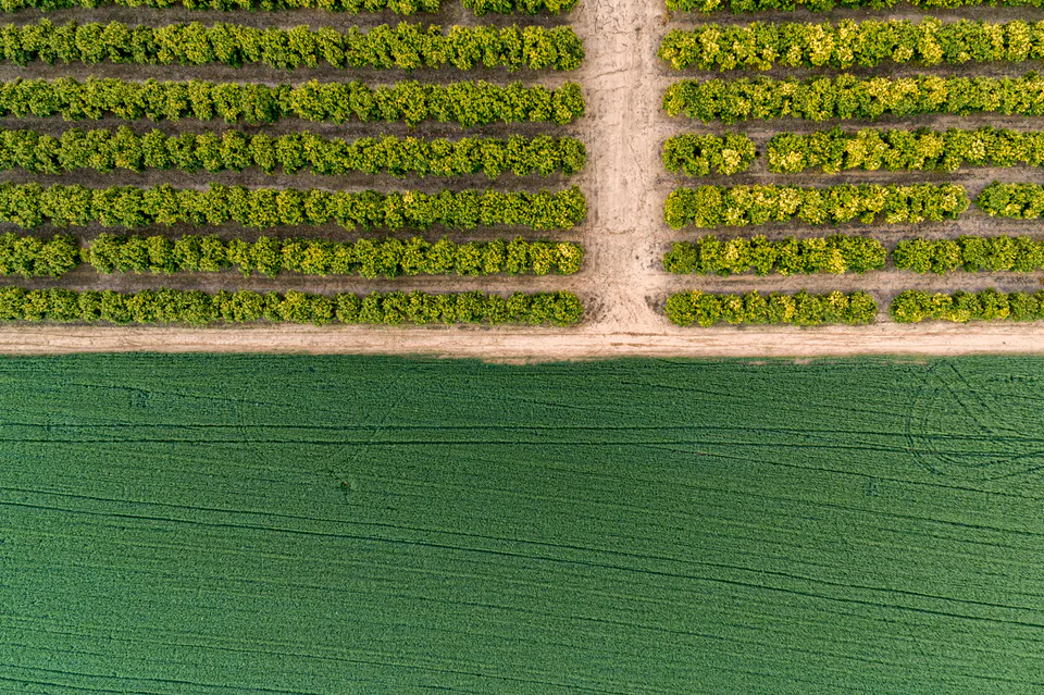 Drone — photograph by Asaf Amran