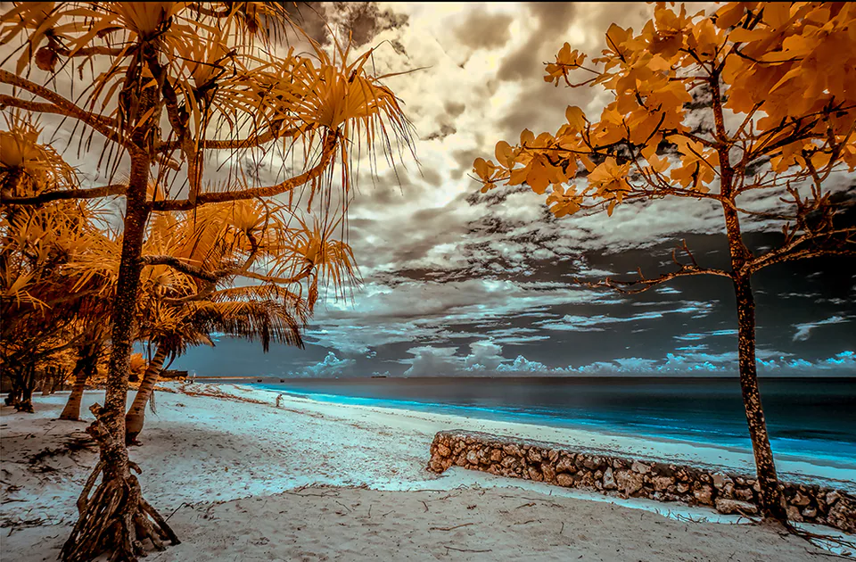 Landscape — photograph by Asaf Amran