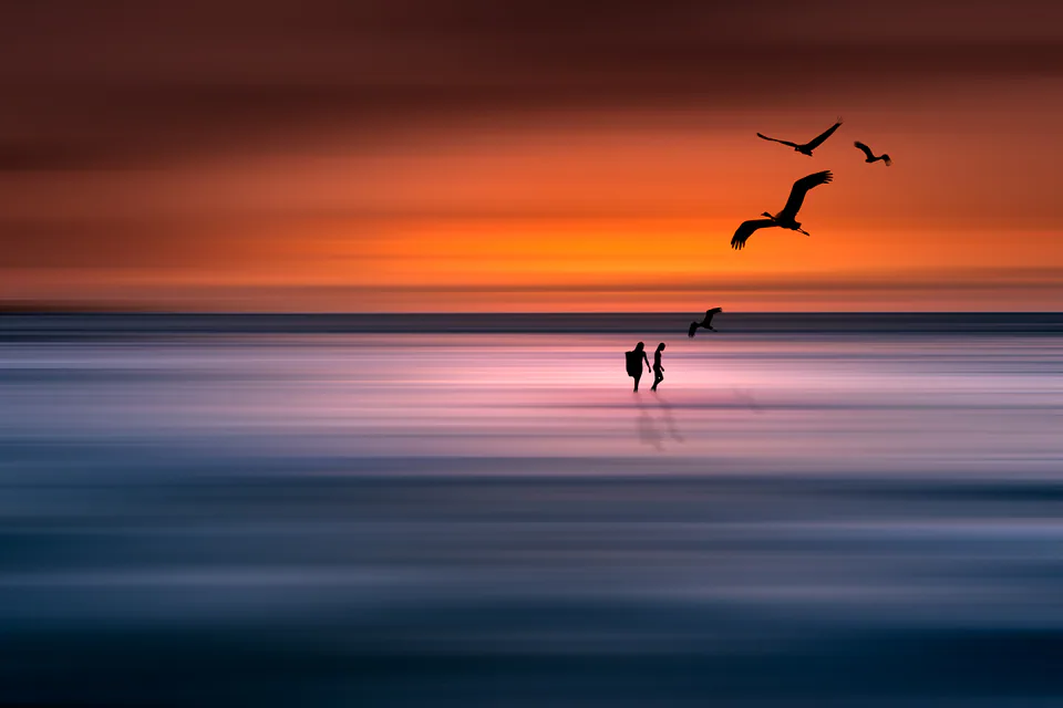 Animals — photograph by Asaf Amran