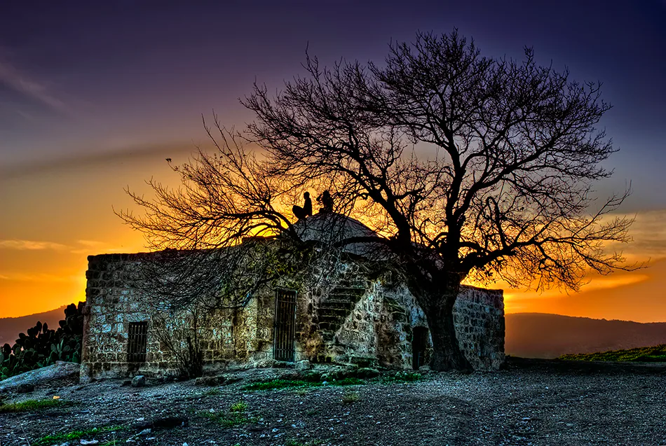 Landscape — photograph by Asaf Amran