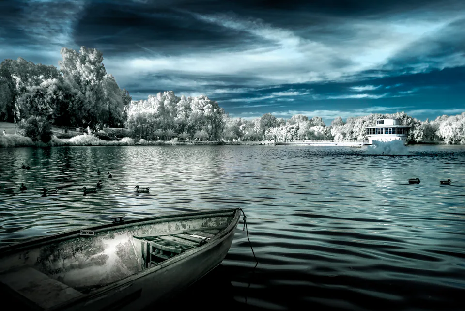 Infrared — photograph by Asaf Amran