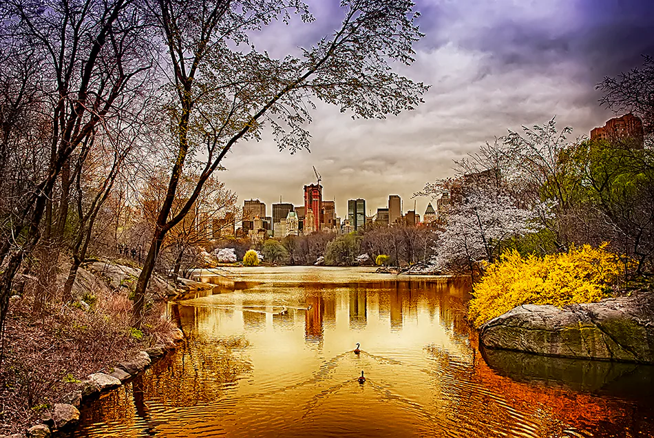 Landscape — photograph by Asaf Amran