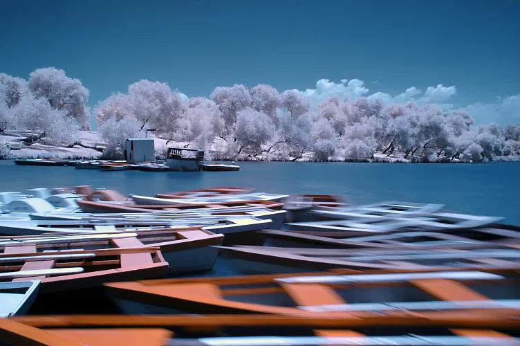 Infrared — photograph by Asaf Amran