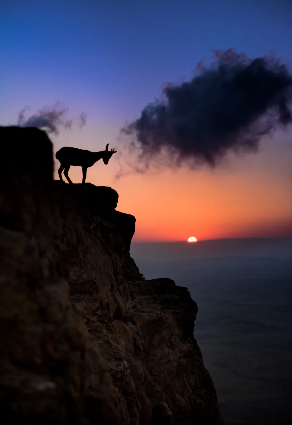 Landscape — photograph by Asaf Amran
