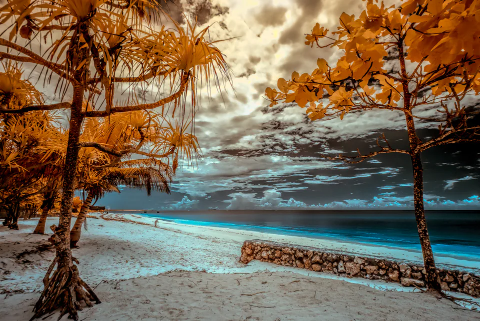 Infrared — photograph by Asaf Amran