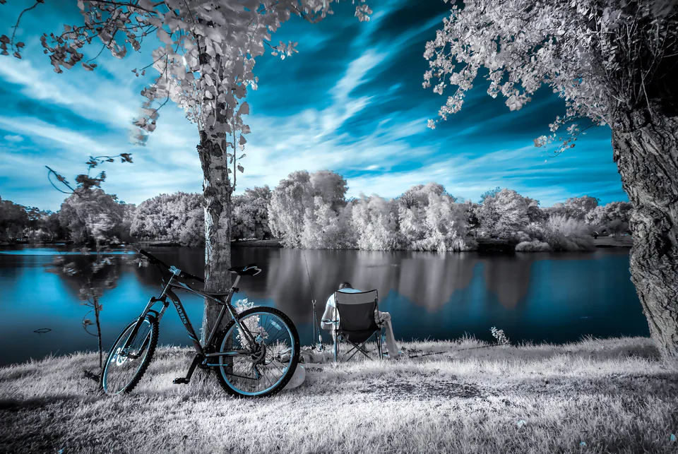 Infrared — photograph by Asaf Amran