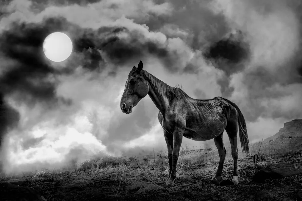 Atmosphere / concept — photograph by Asaf Amran