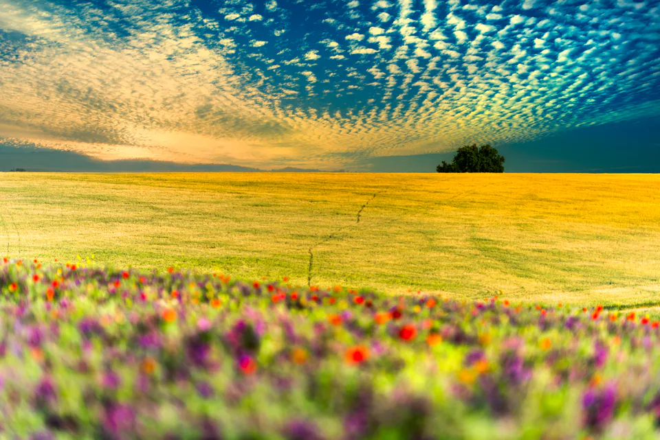 Landscape — photograph by Asaf Amran