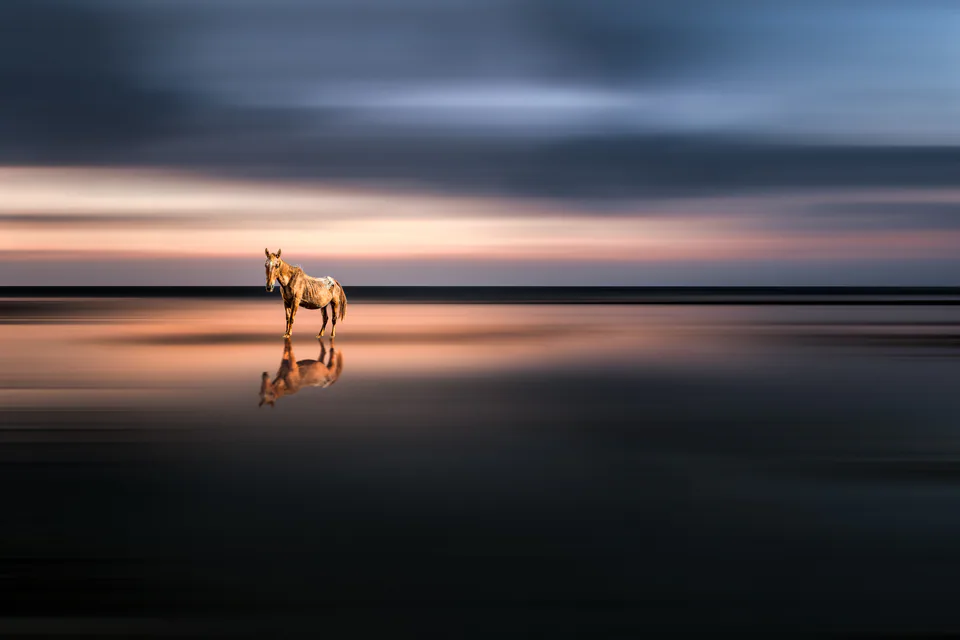 Creative edit — photograph by Asaf Amran
