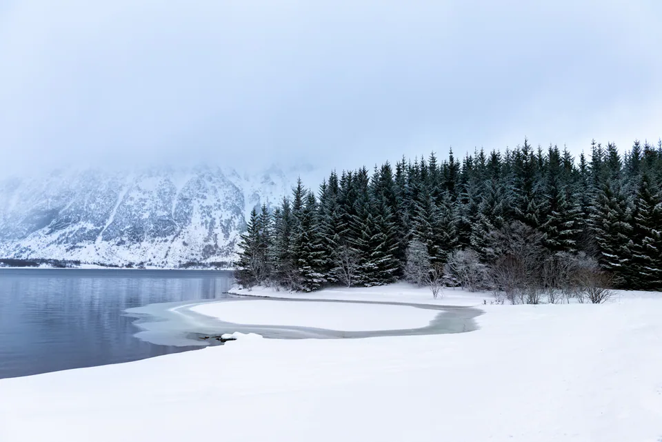 Landscape — photograph by Asaf Amran