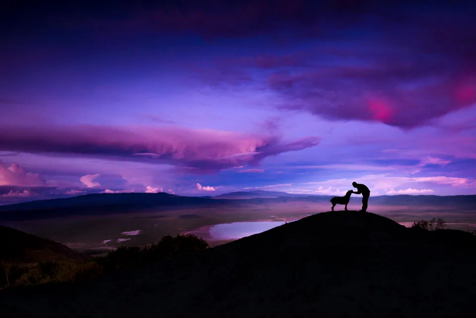 Animals — photograph by Asaf Amran